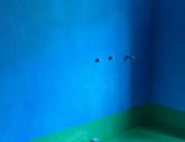 杜尔伯特卫生间测漏水多少钱